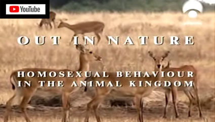 El comportamiento homosexual en los animales